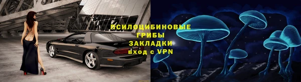 прущие крисы Магас