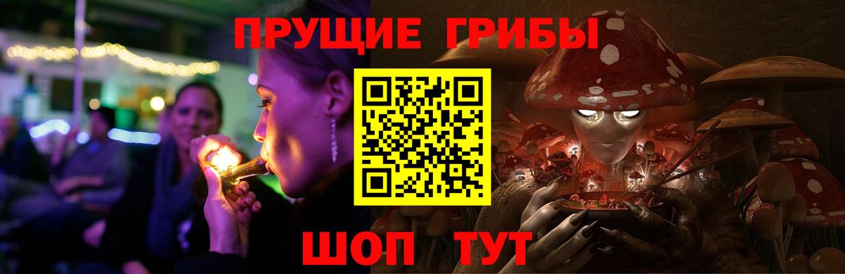 Джанкой  Галлюциногенные грибы GOLDEN TEACHER  Вход с VPN 